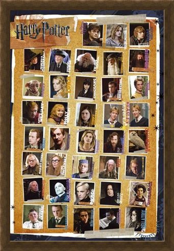 Framed Framed Character Montage - Harry Potter