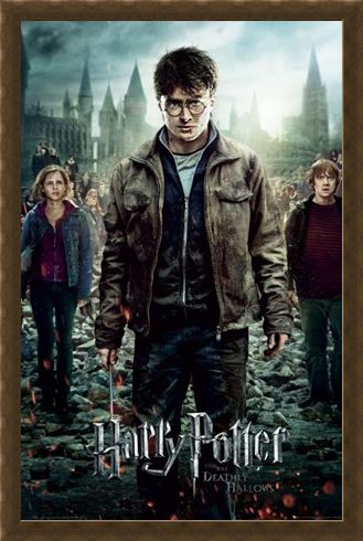 Framed Framed The End is Coming! - Harry Potter and the Deathly Hallows