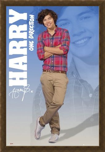 Framed Framed Harry - One Direction