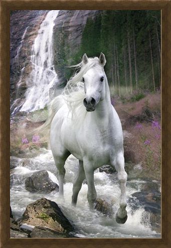 Framed Framed Horse in a Waterfall - Bob Langrish