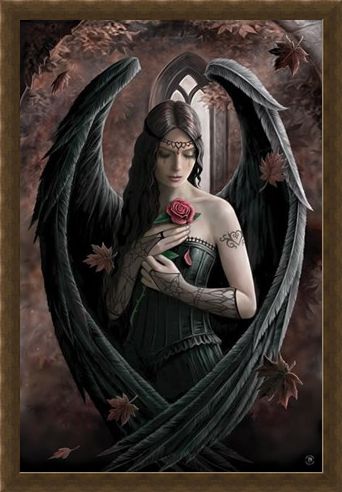Framed Framed Angel Rose - Anne Stokes