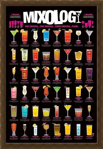 Framed Framed One Cocktail...Two Cocktail...Three Cocktail...Floor! - Mixology
