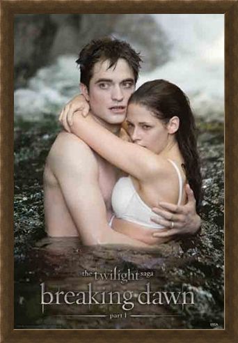 Framed Framed Honeymoon Perfection - Twilight: Breaking Dawn