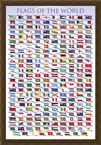Framed Framed Flags of the World - Educational Chart