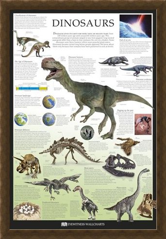 Framed Framed Dinosaurs - Dorling Kindersley