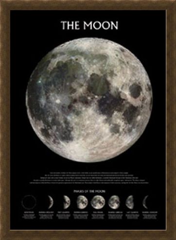 Framed Framed Phases of the Moon - The Moon