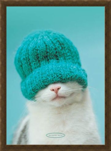 Framed Framed Guiness the Cat and Hat - Rachael Hale