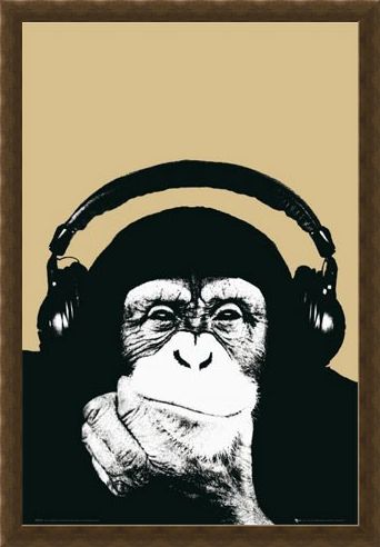 Framed Framed Monkey with Headphones - Steez