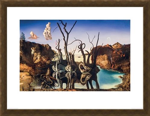 Framed Framed Swans Reflecting Elephants - Salvador Dali