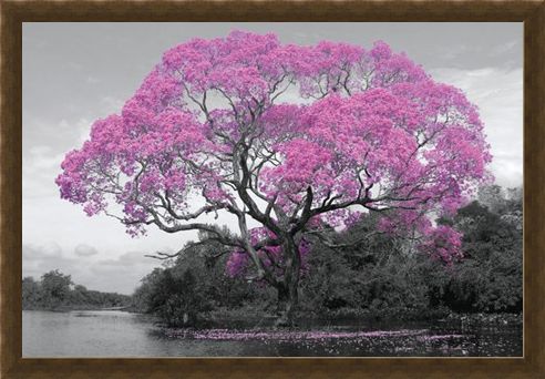 Framed Framed Tree In Bloom - Natural Pink