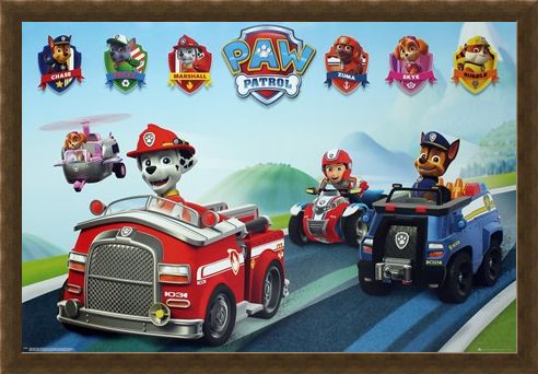 Framed Framed Puppy Vehicles - Paw Patrol