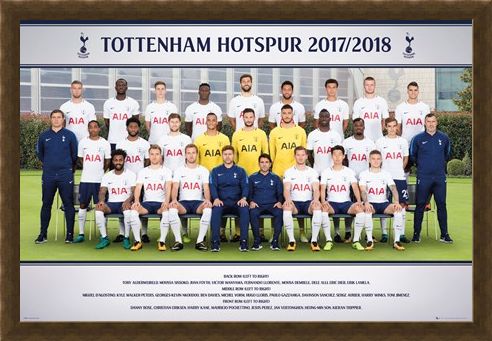 Framed Framed Photo 17-18 - Tottenham Team