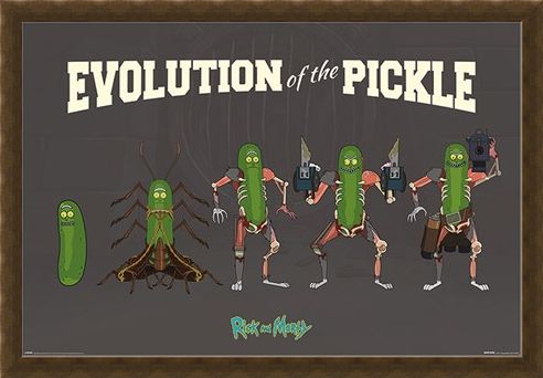 Framed Framed Evolution Of The Pickle - Rick and Morty