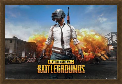 Framed Framed Playerunknown - PUBG
