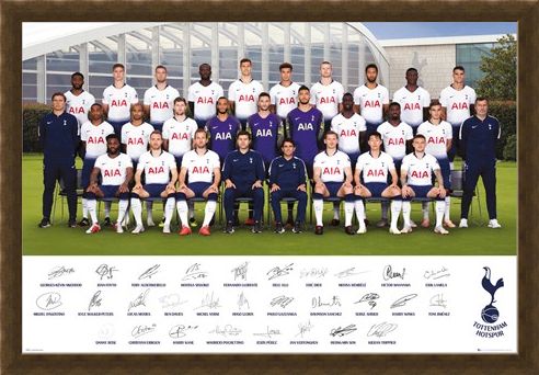 Framed Framed Team Poster 18-19 - Tottenham Hotspur