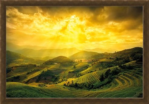 Framed Framed Rice Fields Of Yên Bái - Mountain Masterpiece
