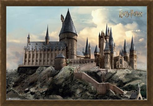 Framed Framed Hogwarts Day - Harry Potter