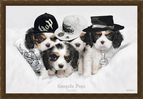 Framed Framed Gangsta Pups - Keith Kimberlin