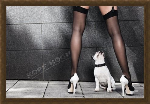 Framed Framed Cheer Up - Kopf Hoch