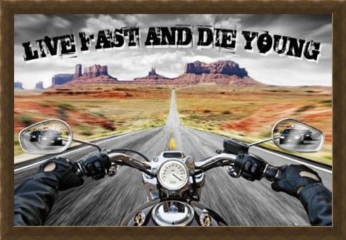 Framed Framed Live Fast and Die Young - Open Road