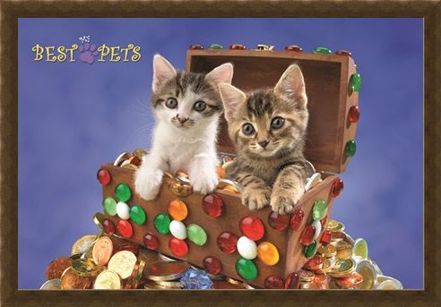 Framed Framed Kitten Treasure - My Best Pets