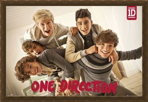 Framed Framed Pile On! - One Direction