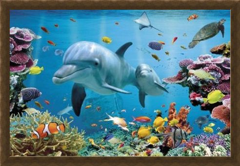 Framed Framed Underwater Dolphin Fantasy - Tropical Dolphins