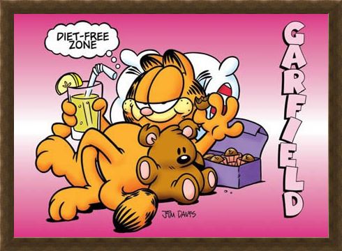 Framed Framed Diet Free Zone - Garfield