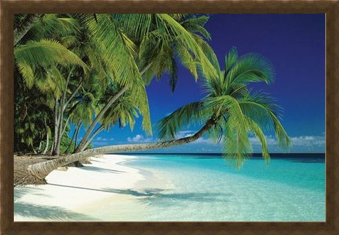 Framed Framed Maldives Beach and Sea - Palm Trees on a Tropical Island Paradise