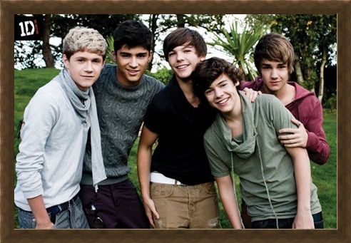 Framed Framed Beautiful Boys in the Garden - One Direction