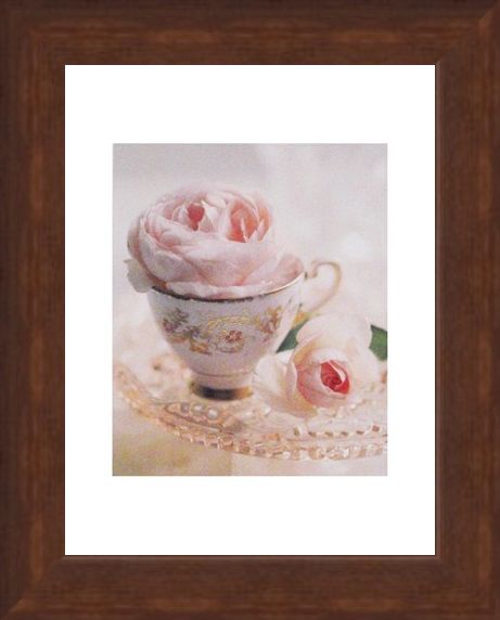 Framed Framed Pale Pink II - Lina Ricci
