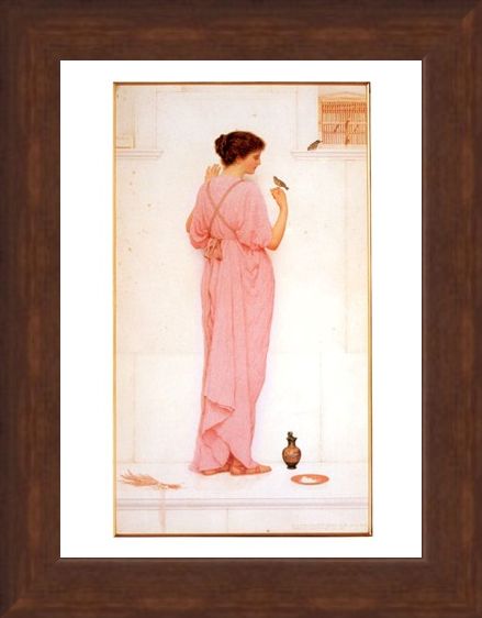 Framed Framed Song Birds - George Lawrence Bulleid