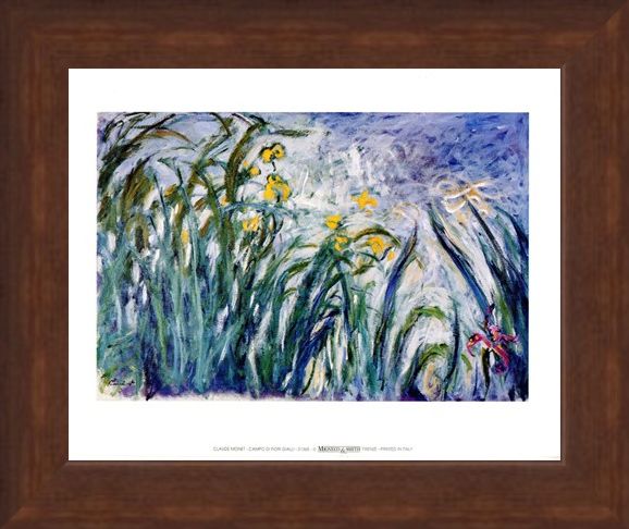 Framed Framed Campo Di Fiori Gialli - Claude Monet