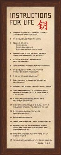 Framed Framed Instructions for Life - According to the Dalai Lama