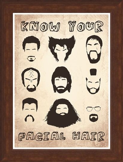 Framed Framed Know Your Facial Hair - Iconic Beards