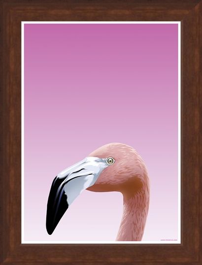 Framed Framed Flamboyant Flamingo - Inquisitive Creatures