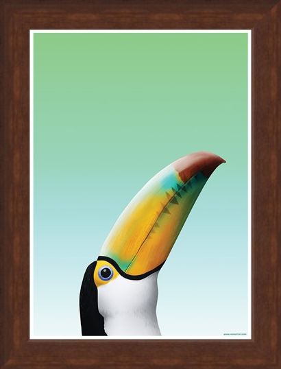 Framed Framed Toucan - Inquisitive Creatures