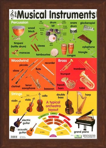 Musical Instruments, Educational Children's Chart Poster - Buy Online