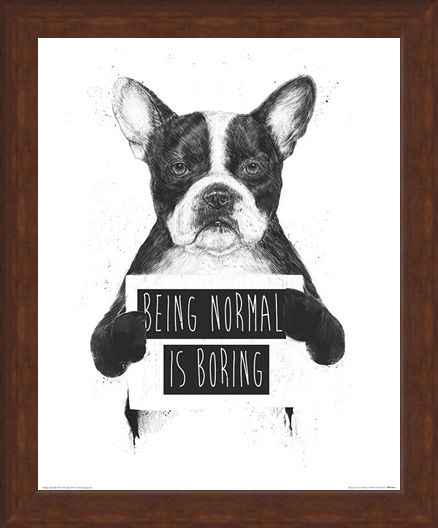 Framed Framed Being Normal Is Boring - Balazs Solti