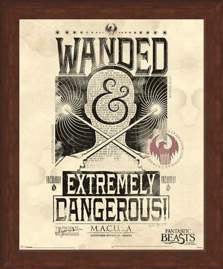 Framed Framed Extremely Dangerous - Fantastic Beasts