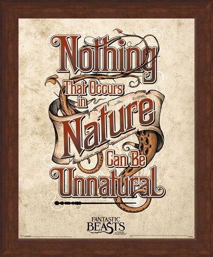 Framed Framed Nothing That Occurs In Nature... - Fantastic Beasts & Where To Find Them