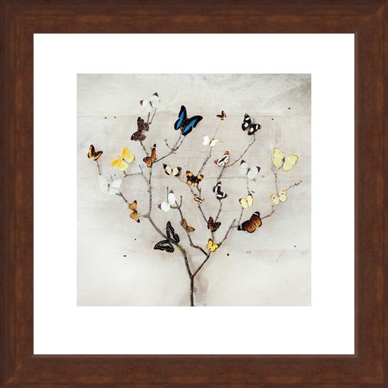Framed Framed Tree of Butterflies - Ian Winstanley