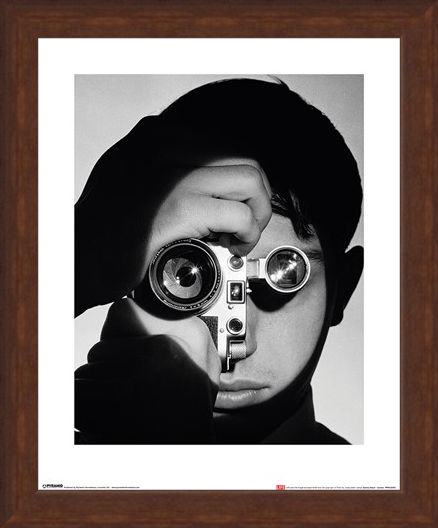 Framed Framed Dennis Stock - Camera - Time Life
