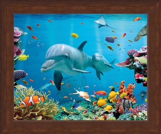 Framed Framed Tropical Ocean - Sea Creatures
