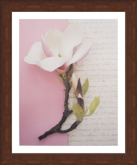 Framed Framed Emma's Garden Magnolia - Deborah Schenck