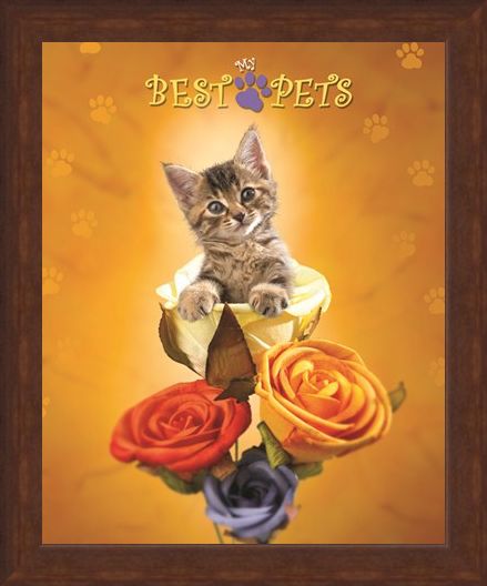 Framed Framed Cat amongst the Roses - My Best Pets