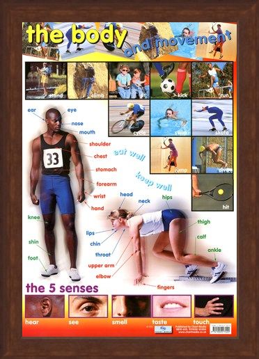 Framed Framed The Body & Movement - How We Move