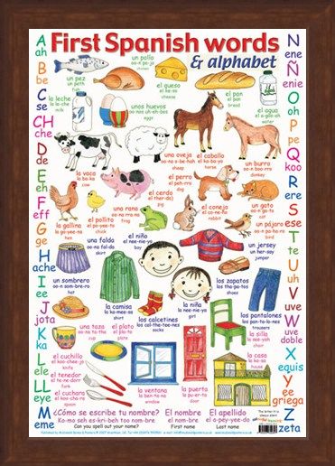 First Spanish Words, Learn The Alphabet Poster - Buy Online