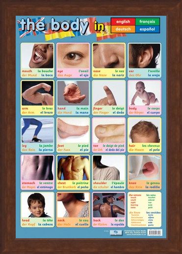 Framed Framed Body Parts - Language Guide