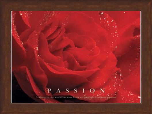 Framed Framed Rose Bloom - Passion, Inspirational